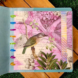 Capa Para Caderno de Disco . Hortênsia - Sônia Rondon