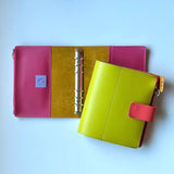 Capa Fichário . Laranjeira - Sônia Rondon