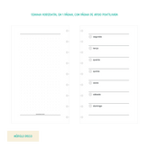 Módulo Disco . Semana Horizontal (SH02) - Sônia Rondon