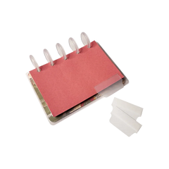 Kit de Abas Divisórias - Sônia Rondon