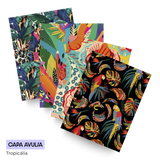 - Capa Avulsa de Disco, Coleção Tropicália