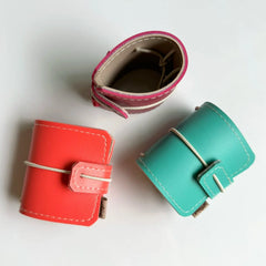 Capa para Caderneta em Miniatura . Mini Camaleão - Sônia Rondon