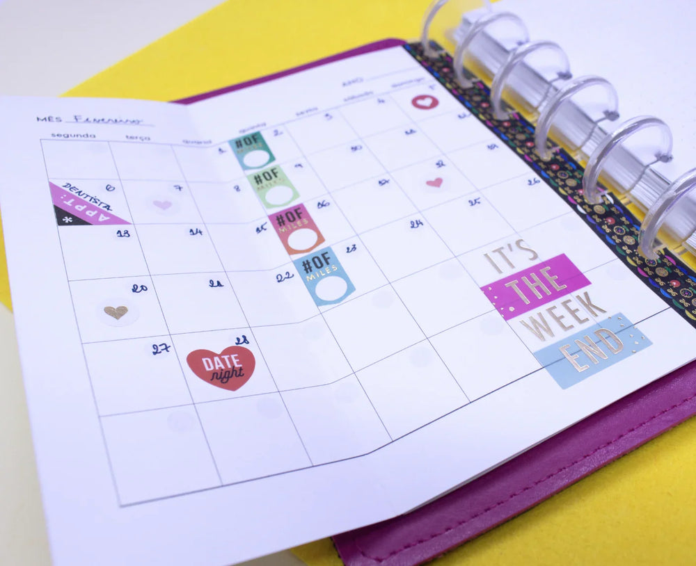 Módulo Fichário . Mensal Extendido (ME01) - Sônia Rondon