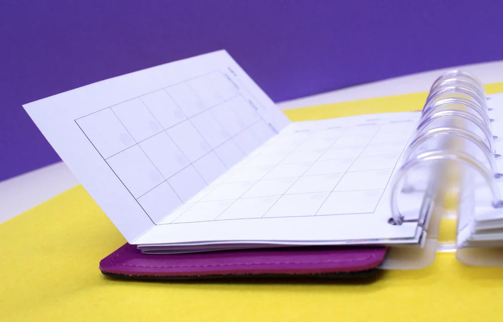 Módulo Fichário . Mensal Extendido (ME01) - Sônia Rondon