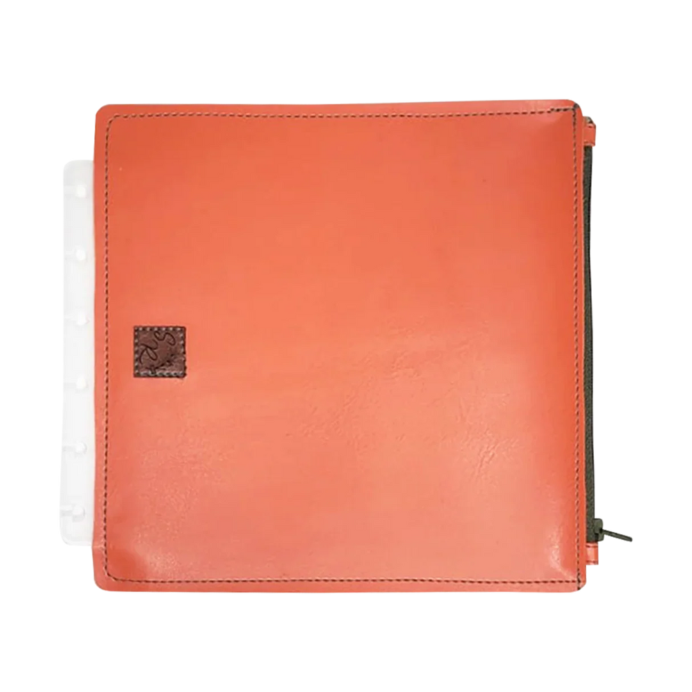 Insert Bolso Zíper para Disco . Crisântemos - Sônia Rondon