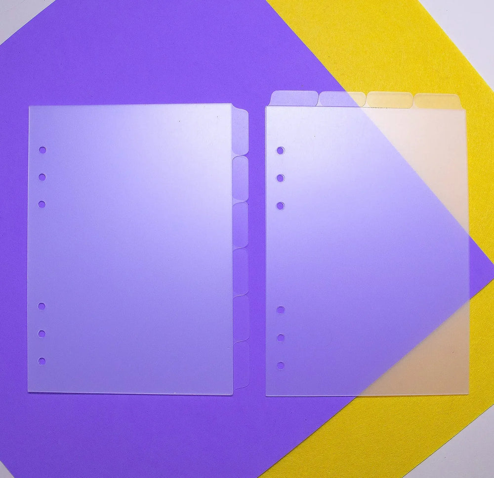 Kit de Divisória Transparente para Fichário . Aba Superior e Lateral - Sônia Rondon