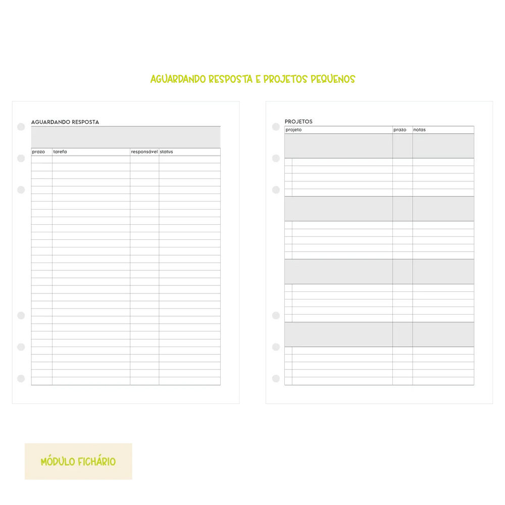 Módulo Disco . Produtividade GTD (P02) - Sônia Rondon