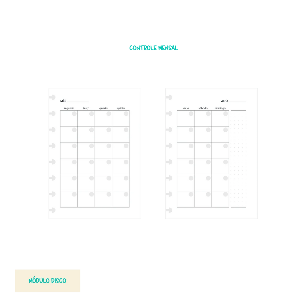 Módulo Disco . Financeiro Completo (F01) - Sônia Rondon