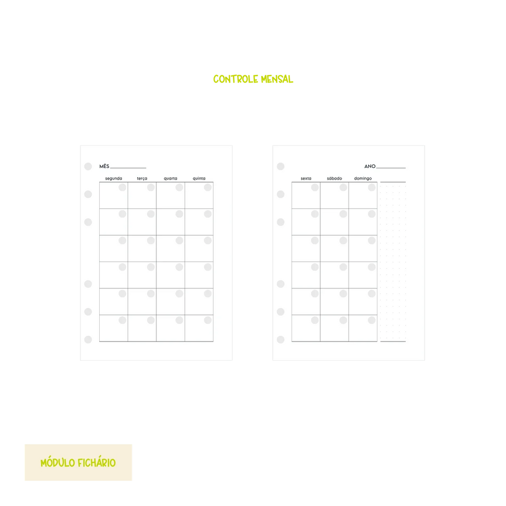 Módulo Fichário . Financeiro Completo (F01) - Sônia Rondon