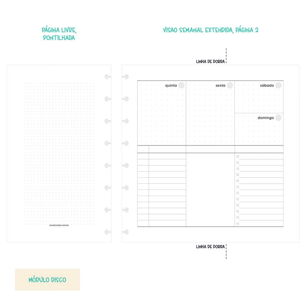 Módulo Disco . Semana Extendida (SE01) - Sônia Rondon