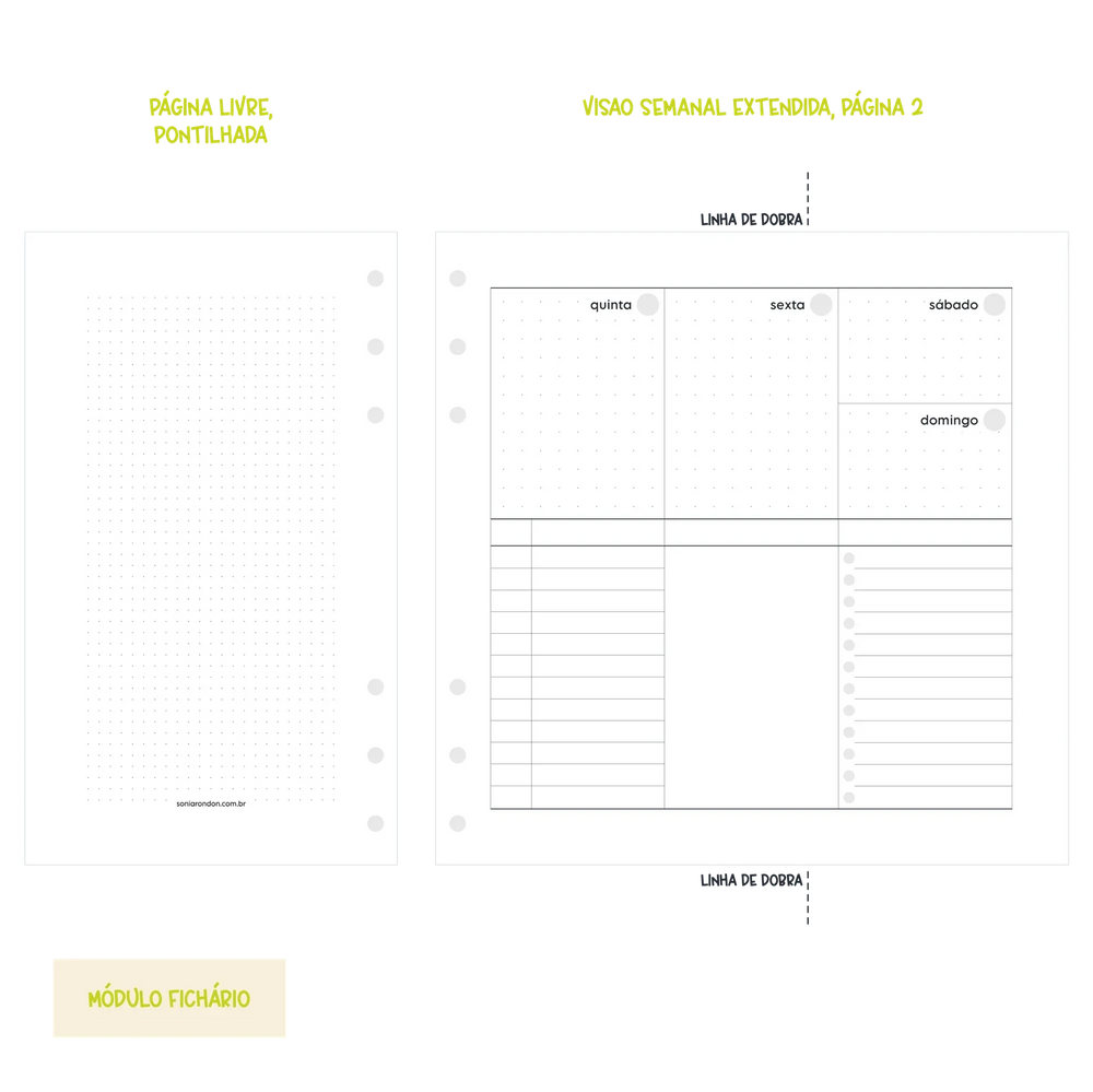 Módulo Fichário . Semana Extendida (SE01) - Sônia Rondon
